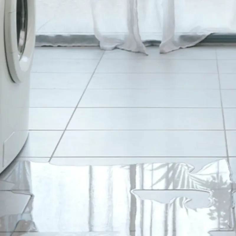 Appliance Leak Cleanup in Fossil, OR