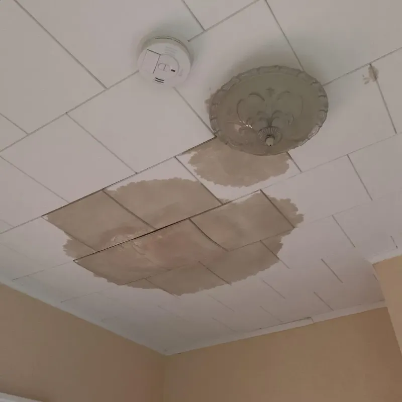Ceiling Water Damage Repair in Fossil, OR
