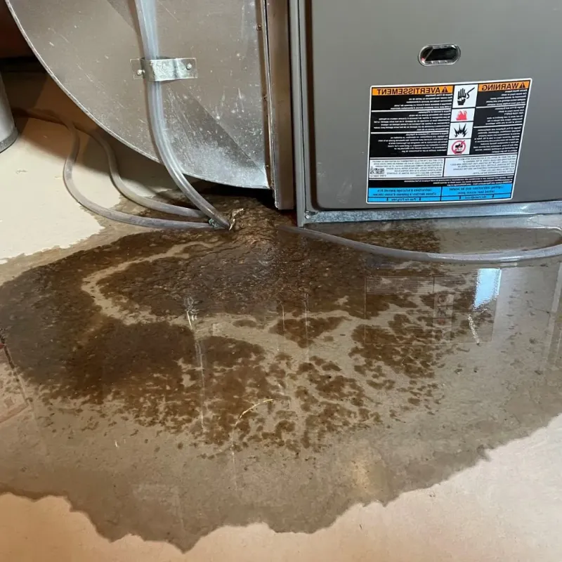 Pipe Burst and Leak Restoration in Fossil, OR