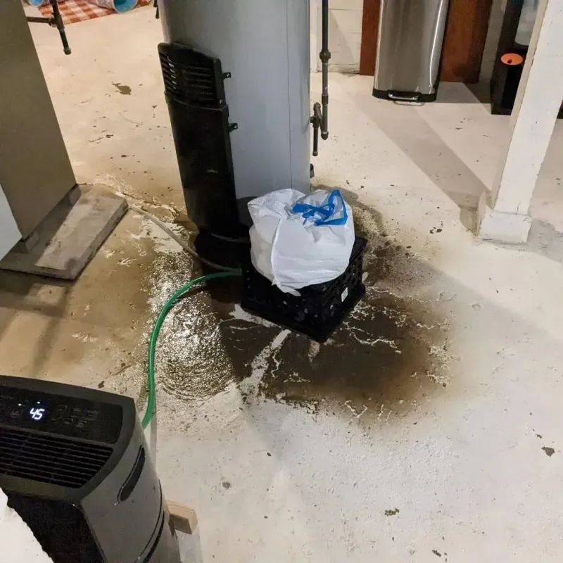 Sewage Backup Cleanup Service in Fossil, OR